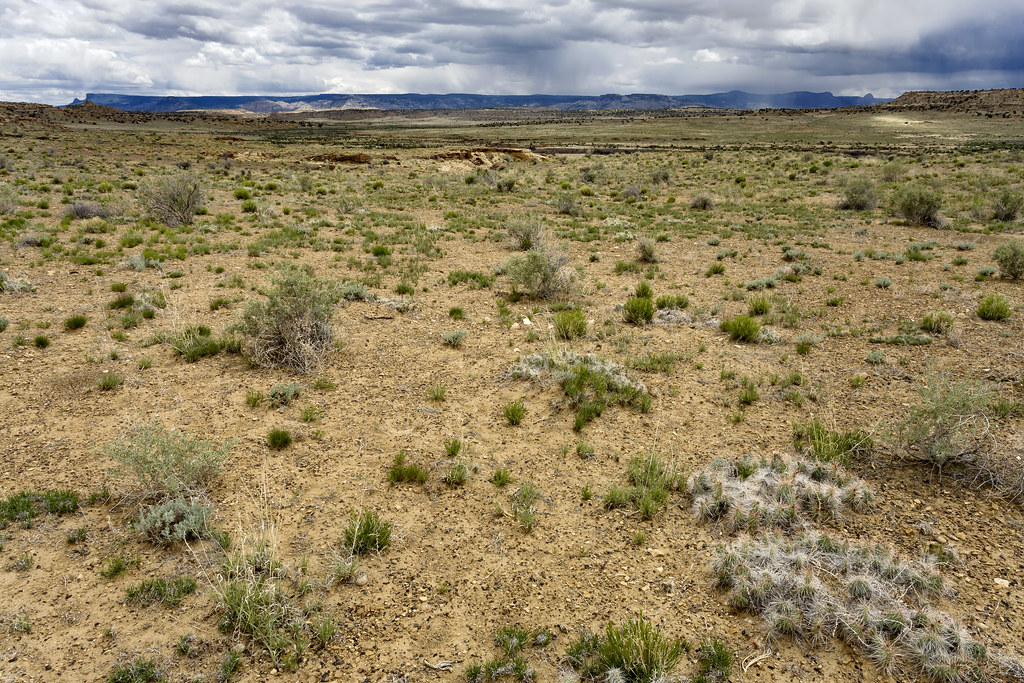 Near Rincon Marquez Arroyo Near Rincon Marquez near North … Flickr