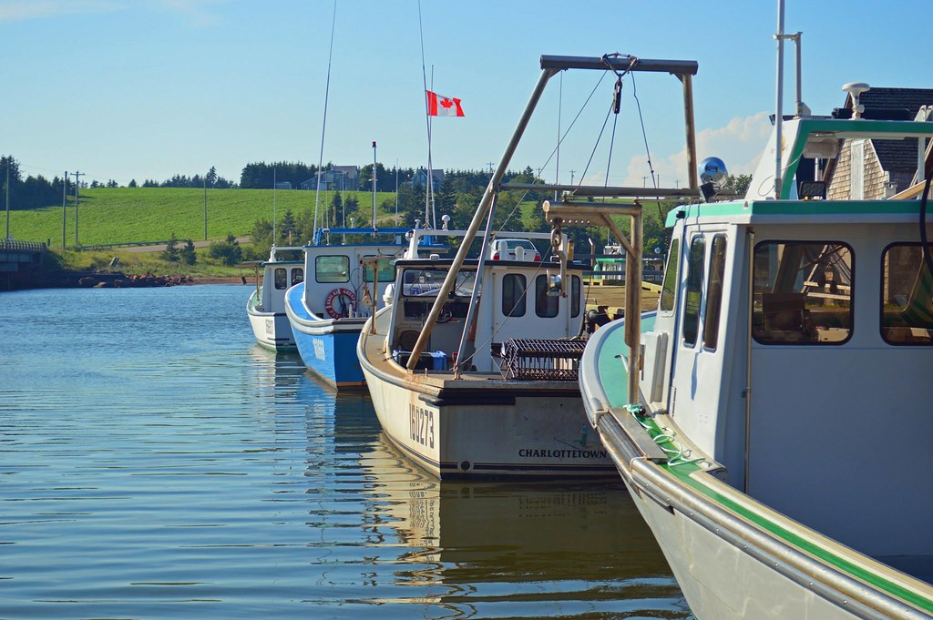 Nice Weather Blaine Bernard Flickr