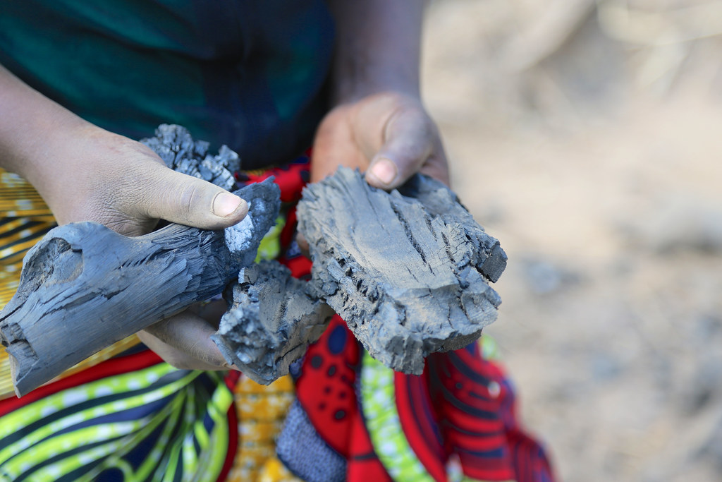 Charcoal production in Nyimba, Zambia A smallholder in Nyi… Flickr