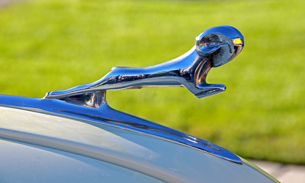 062317 Riverton Prairie Dog Car Show 056 SONY DSC Dave Lindsay Flickr