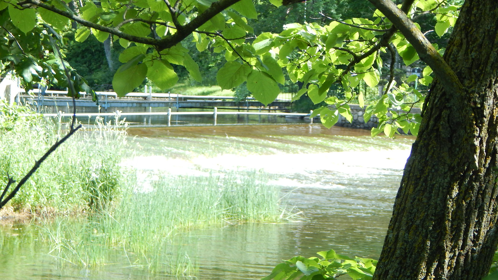 Lake Wapogasset Flickr