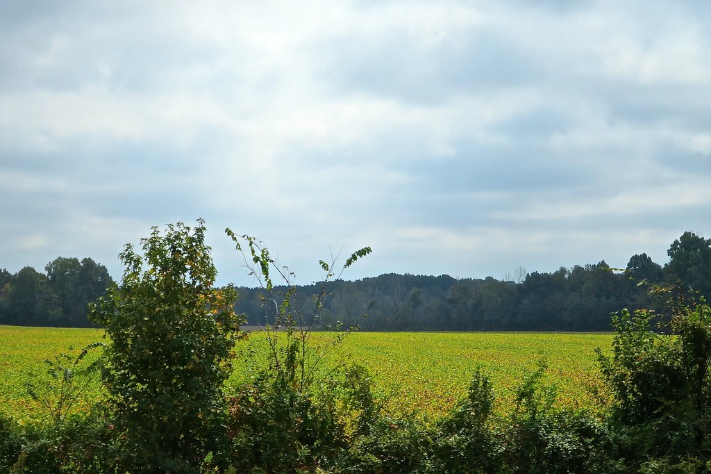 West Memphis AR to Nashville TN (10/10/2015) Flickr