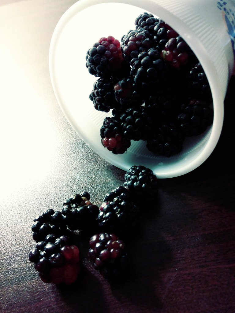 Blackberries fresh from the vine Rana Ghana Flickr