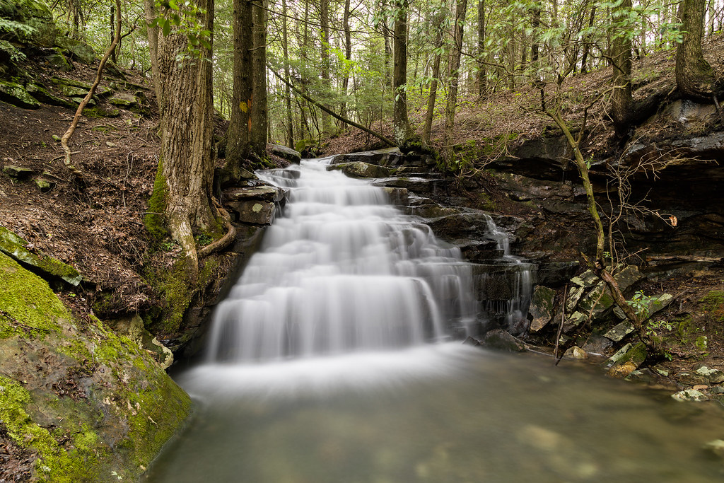 Big Branch Falls In 1971, the Tennessee Legislature passed… Flickr