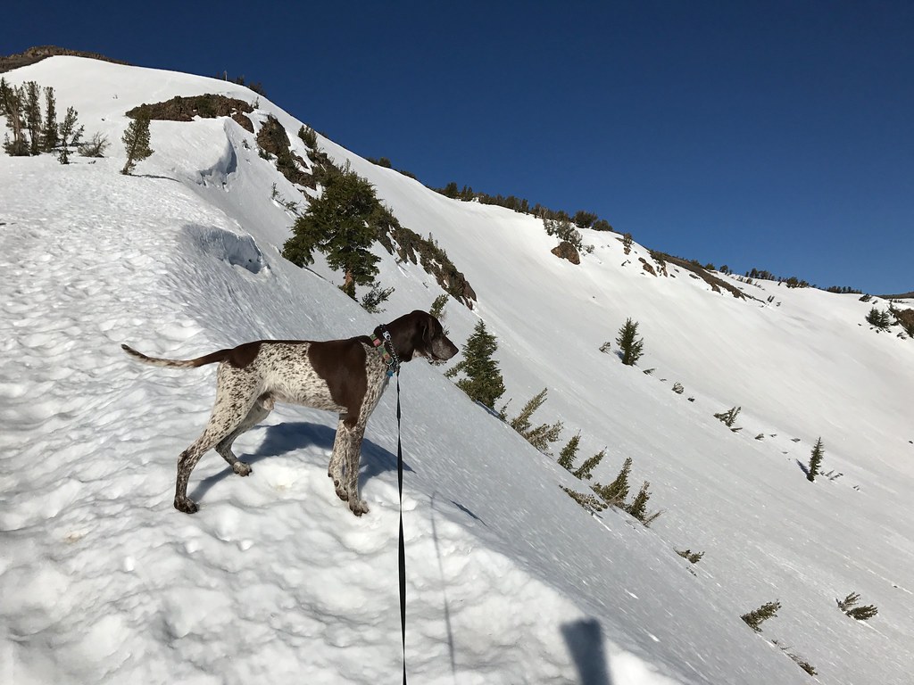 Backcountry Day at Red Lake Peak Jonathan Fox Flickr