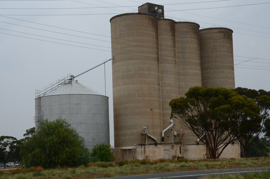 DSC_7251 grain silos, Lake Road, Sea Lake, Victoria Flickr