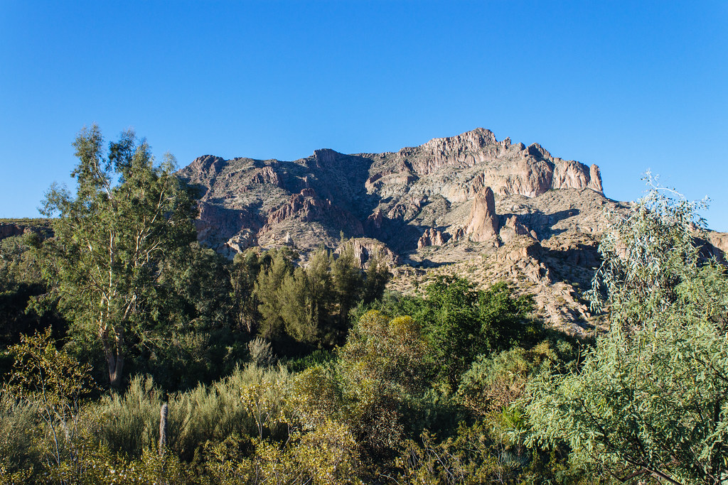 Boyce Thompson Arboretum State Park Trevor Huxham Flickr