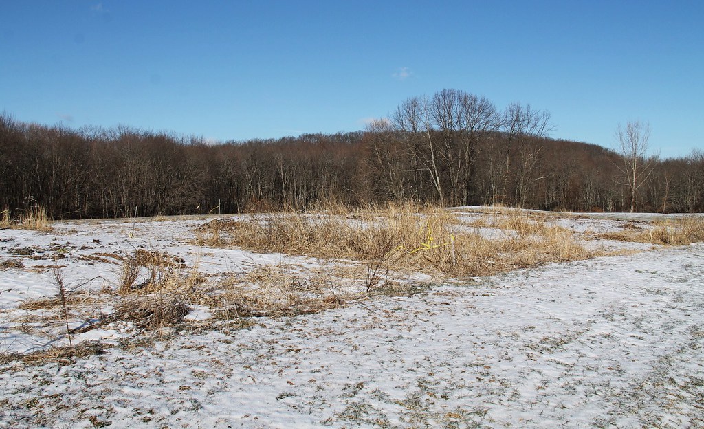 Batz Property Town of Ellington Flickr