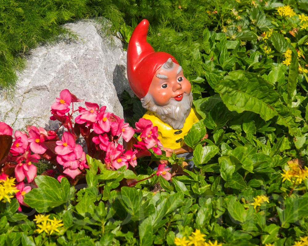 Swiss Garden Gnome, Eggiwil, Bern, Switzerland jag9889 Flickr
