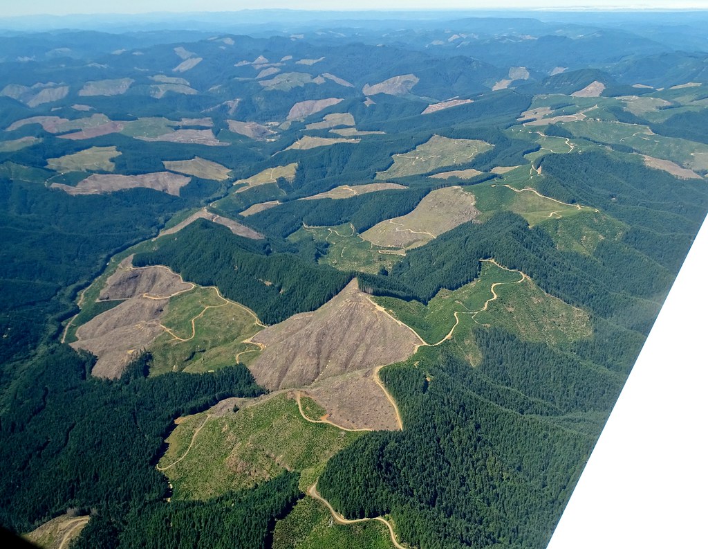Weyerhaeuser Tree Farm This 209,000 acre block o… Flickr