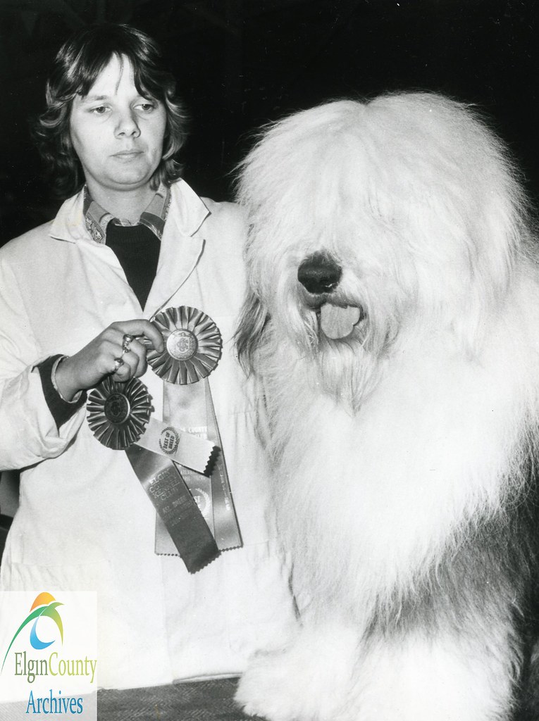 Elgin County Kennel Club Annual Show, 1979 Title St. Tho… Flickr