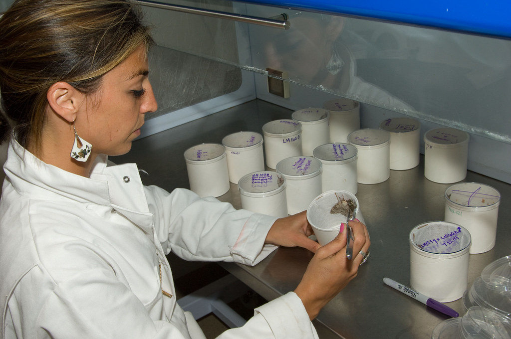 09PPQ006_044 At the Otis Lab, employees conduct research f… Flickr