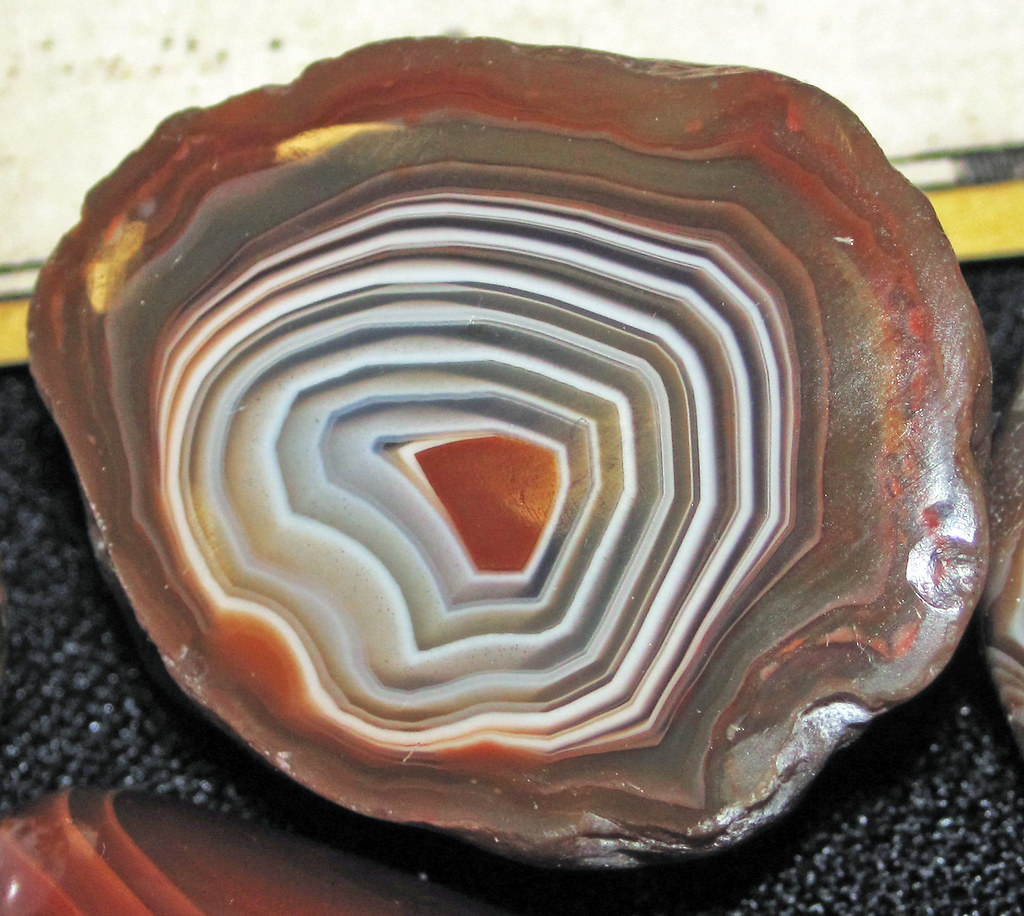 Agate nodule ("Lake Superior Agate") (Jo Daviess County, I… Flickr