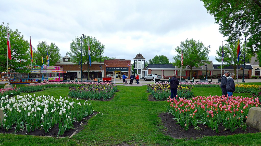 Visitors admiring tulips in City Park, Orange City, Iowa Flickr