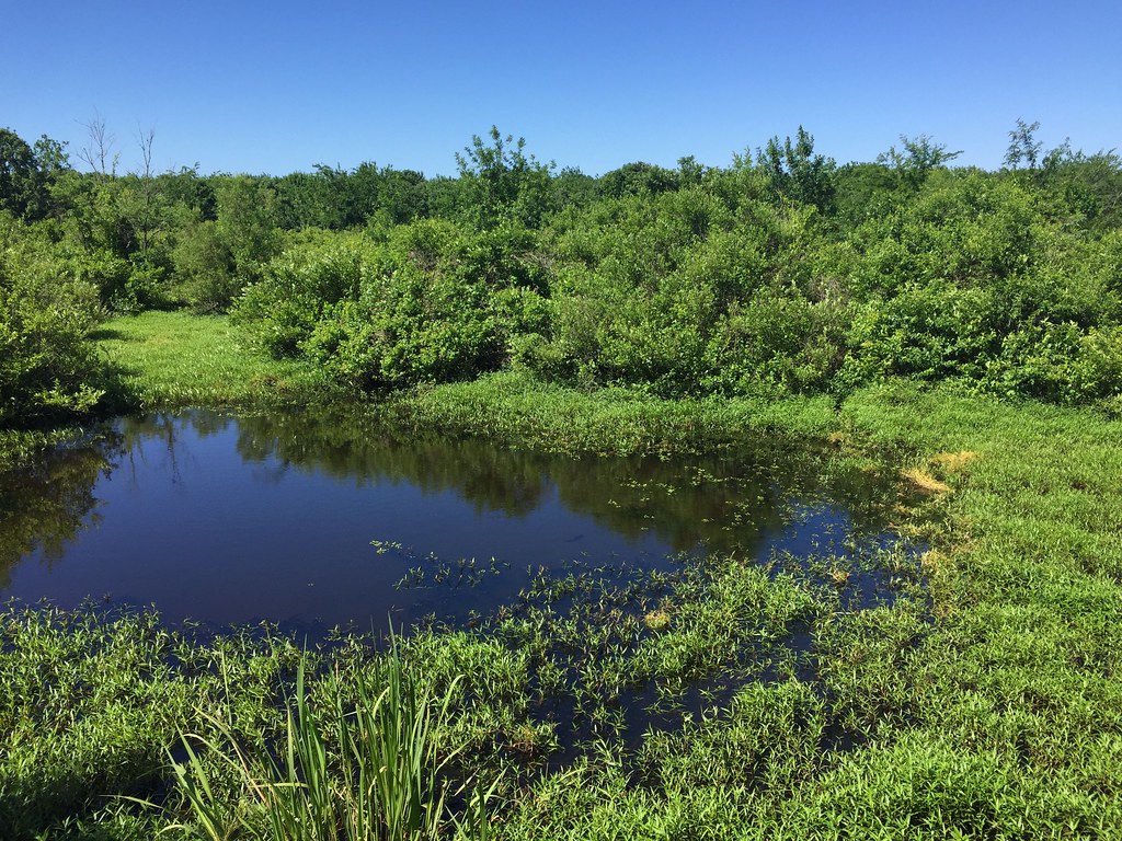 Mineola Nature Preserve, Mineola TX Wendy Willis Miller Flickr
