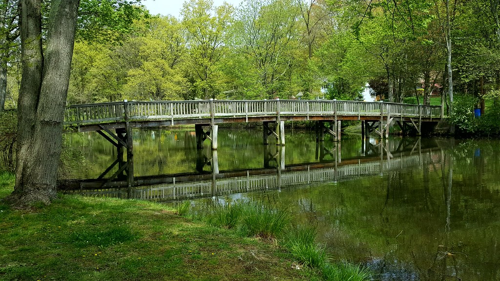 20170501_132143 (1) Packanack Lake, Wayne NJ Maggie Brenes Flickr