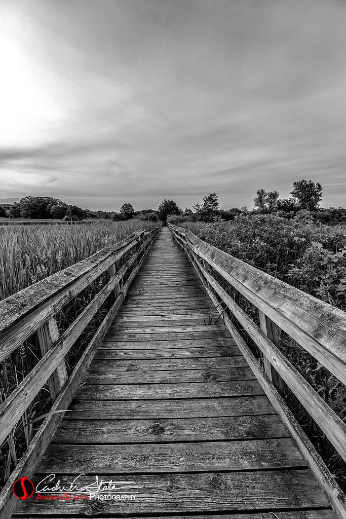 Camp Lake, WI, USA Sunrise Sunset Times