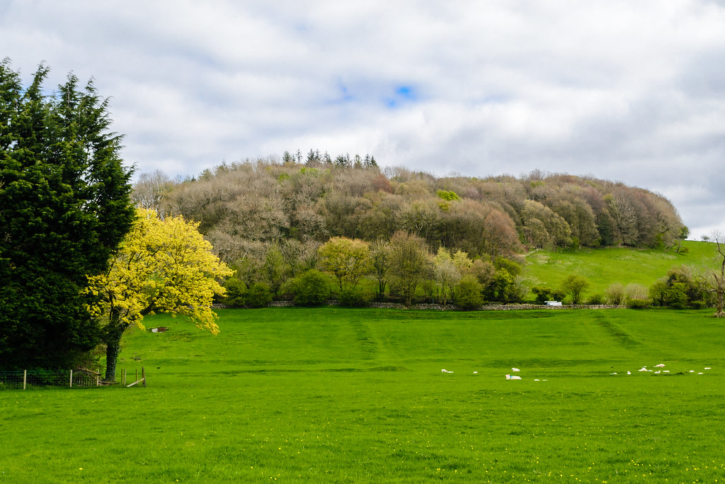 Sawley , Clitheroe , Lancashire April 2017 I.T.P. Flickr