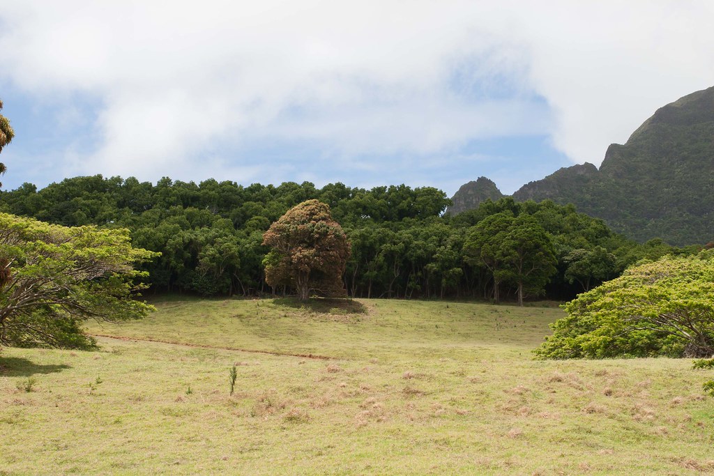 Kayaking the Hule'ia River This is the field where Indiana… Flickr