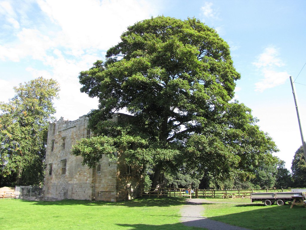 Dilston Castle and Chaple, Corbridge, Northumberland, Engl… Flickr
