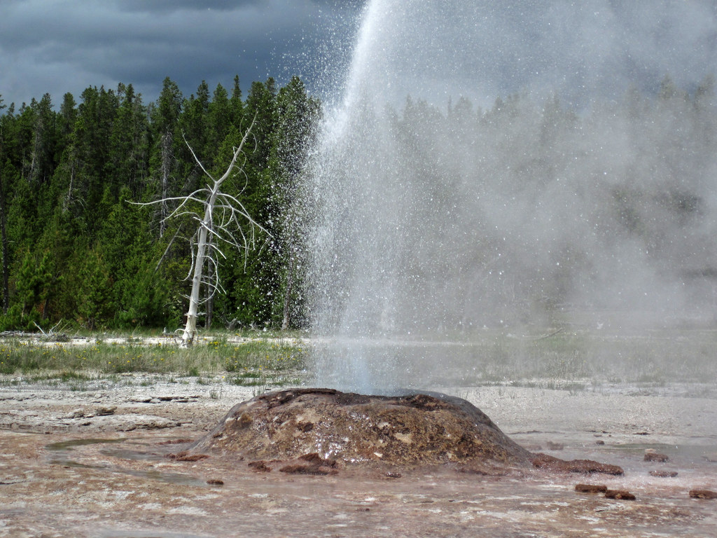 Pink Cone Geyser eruption (early afternoon, 9 June 2017) 5… Flickr