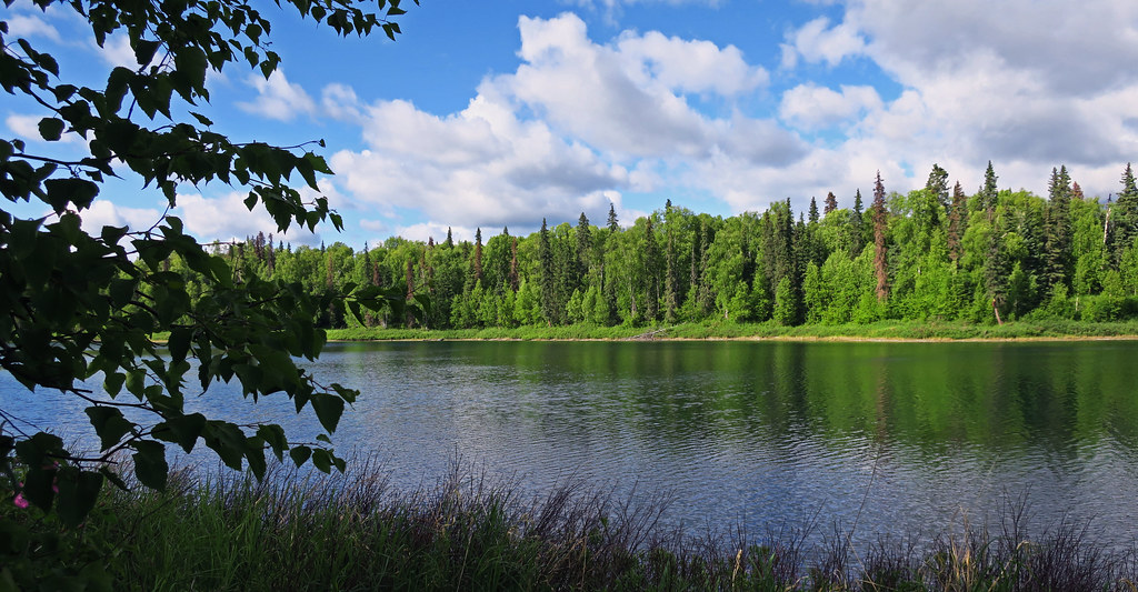 IMG_3683a Talkeetna Lakes Park XLake weewonwon Flickr