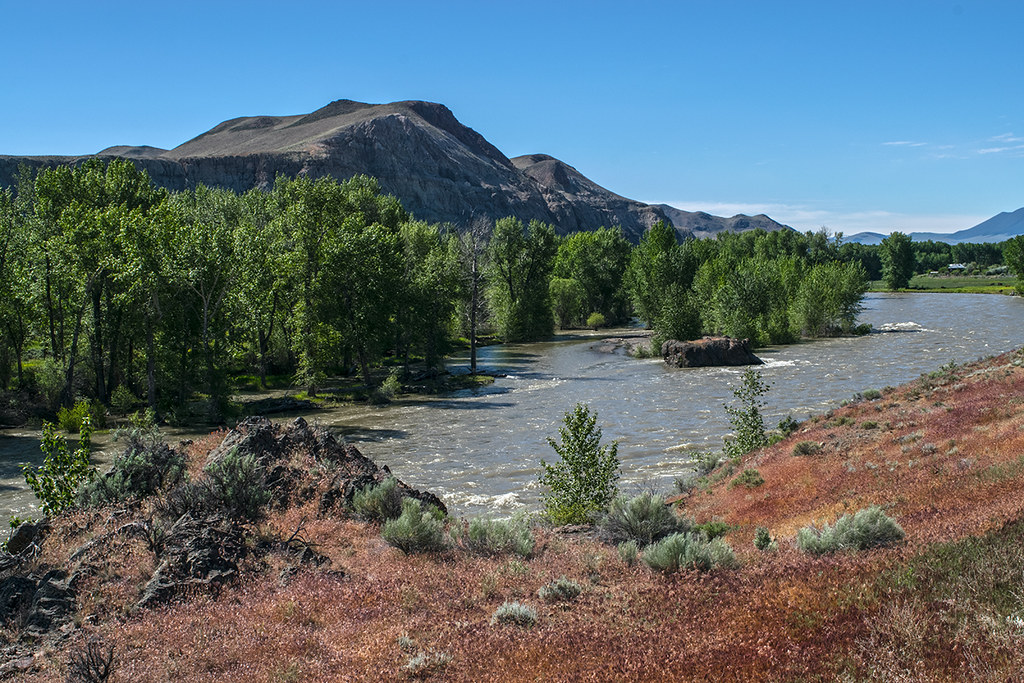 The Salmon River a few miles north of Challis, Idaho Flickr