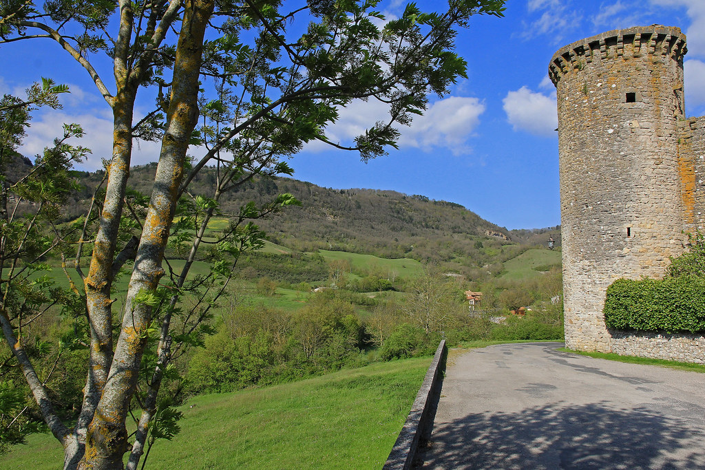 20 Ste Eulalie de Cernon Patrick Chabert Flickr