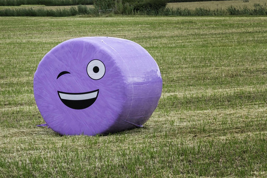 Cheeky Hay Bale A Farmer with a sense of humour Yelsel_R Flickr