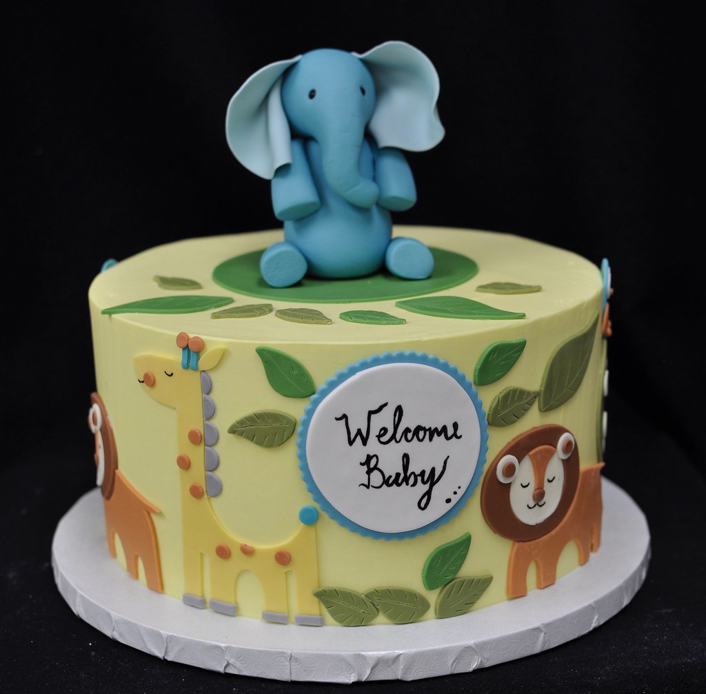 Safari Baby Shower Cake Ideas Safari Cake Decorations Easy Ways To