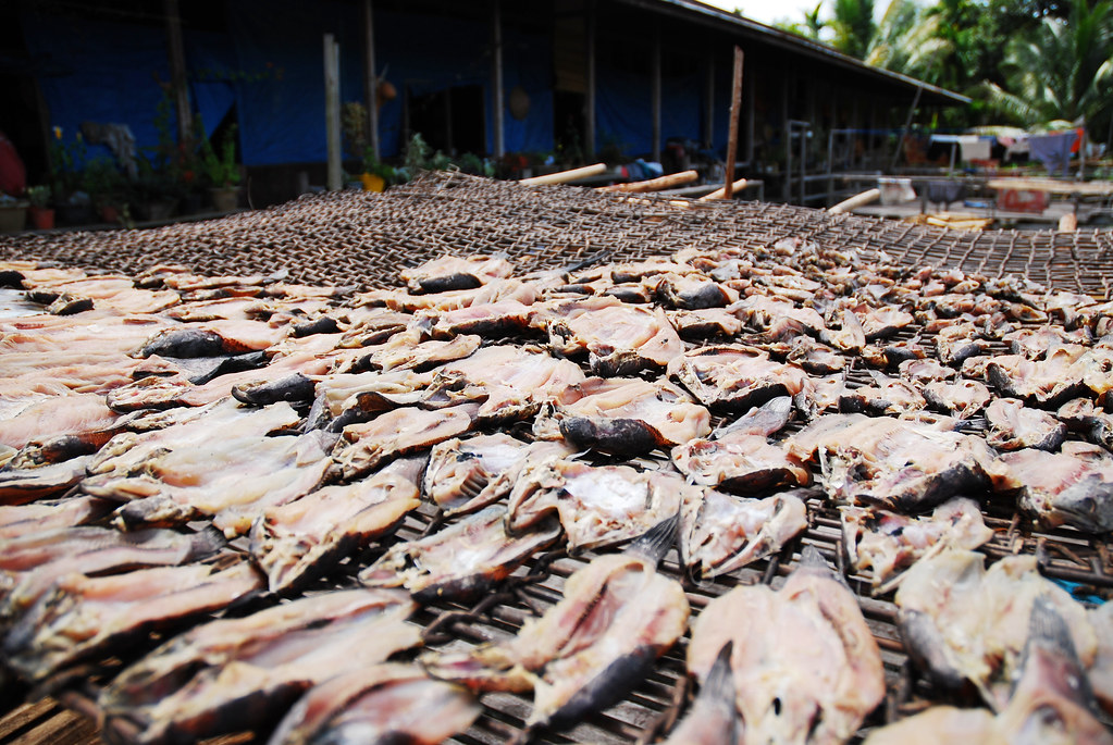 Dried fish The Community, Pelaik Village drying fish from … Flickr