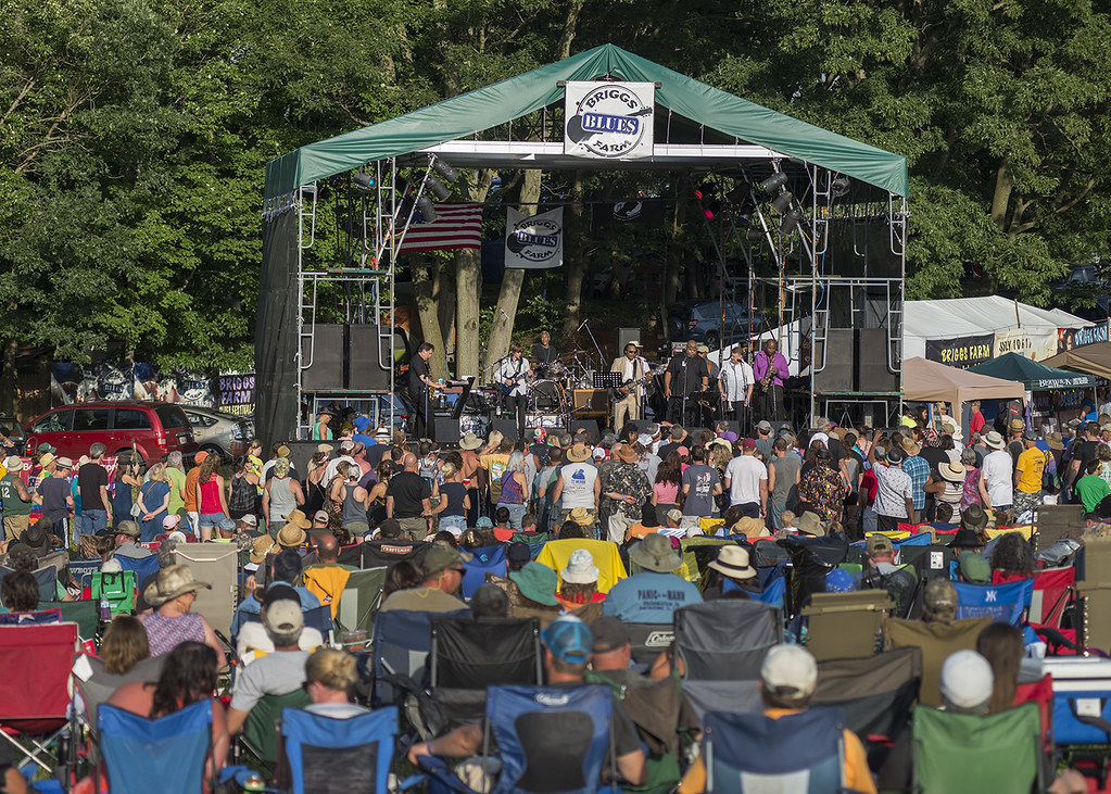 PHOTOS 20th annual Briggs Farm Blues Festival in Nescopeck, 07/08/17 NEPA Scene