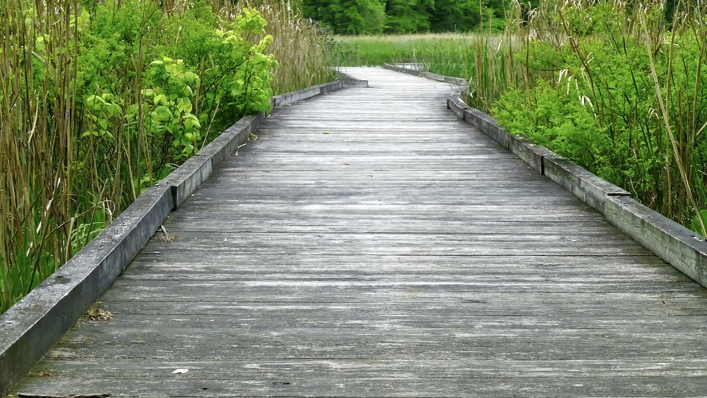 Kings Landing Park May 7, 2017, 10045_sharing F Delventhal Flickr