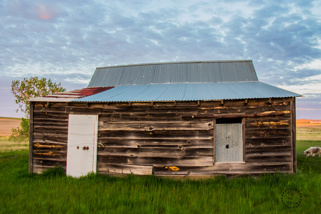 The Pine Trees House, McCone County, MT This was our last … Flickr