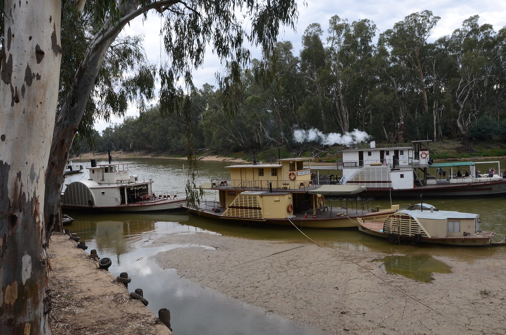 DSC_7197 paddle steamers, Port of Echuca, Victoria Flickr