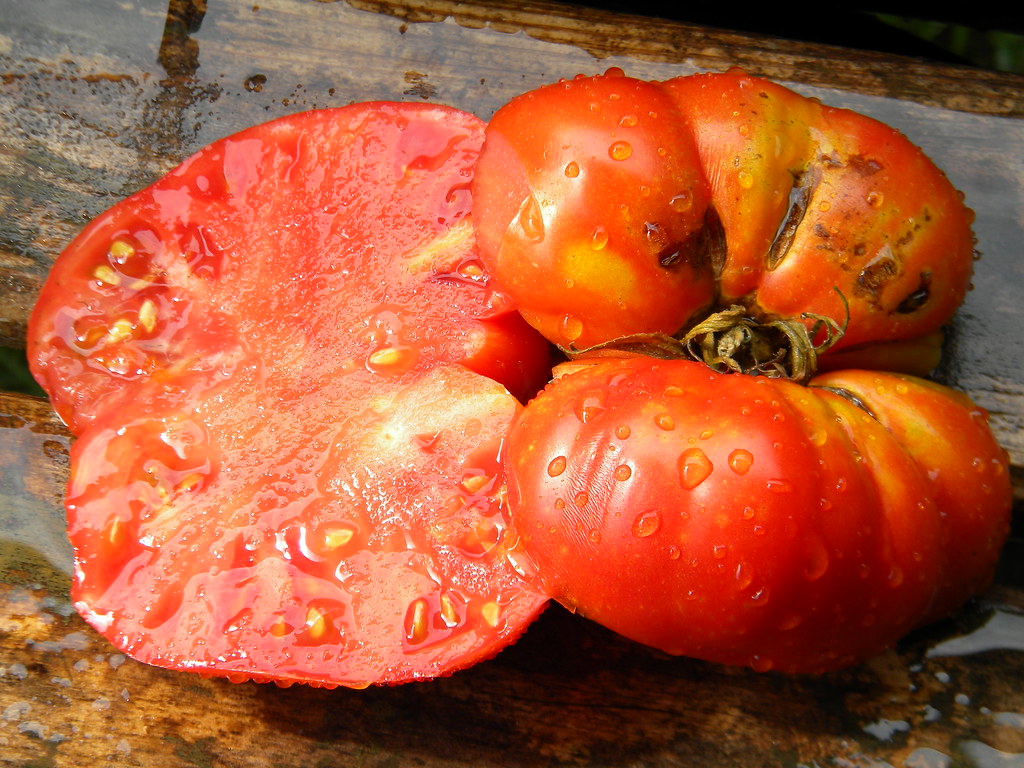 Brandywine OTV Blane Horton Flickr