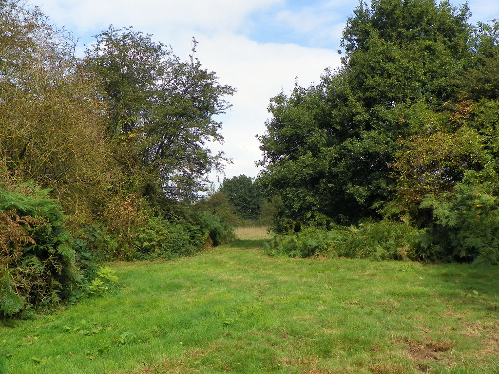 GOC London Colney 047 Colney Heath LNR Colney Heath Local… Flickr