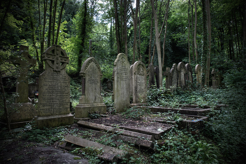Abandoned graves Some of the reported 170,000 graves among… Flickr