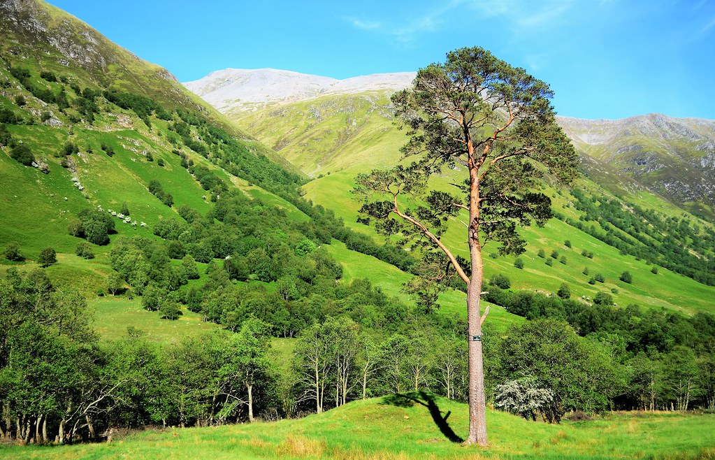 Glen Nevis,Fort Wlliam Lutful Haque Flickr