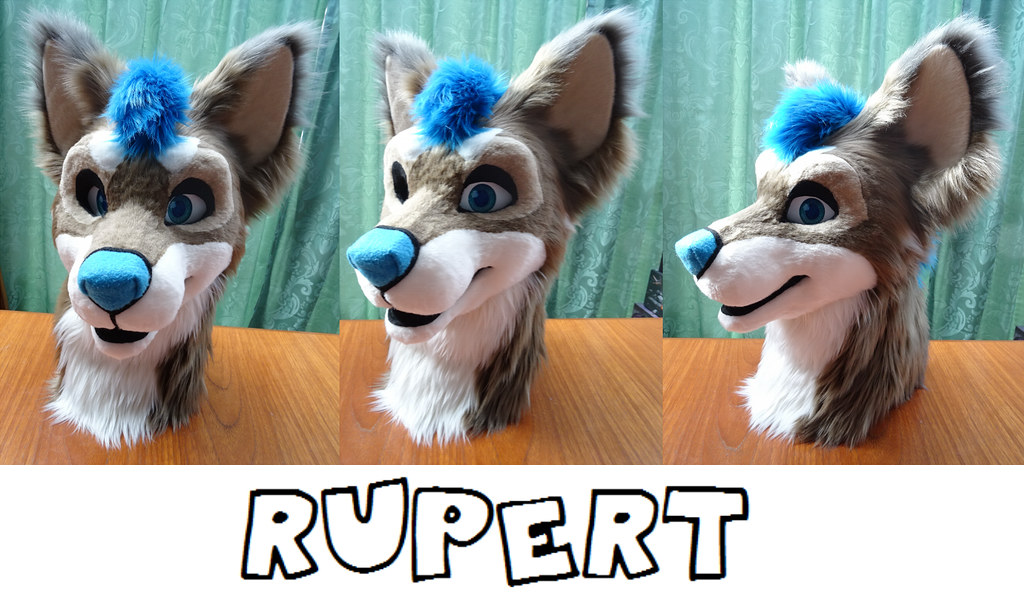 rupert Blue Fox Fursuits Flickr