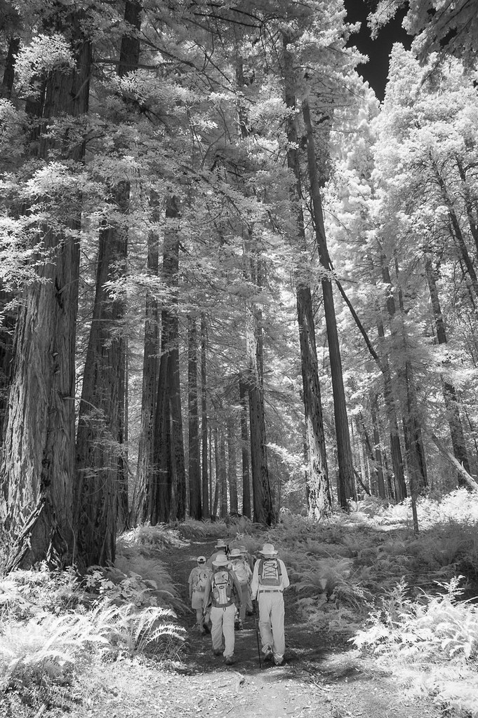Bolinas Ridge_07122017161 James Thomason Flickr