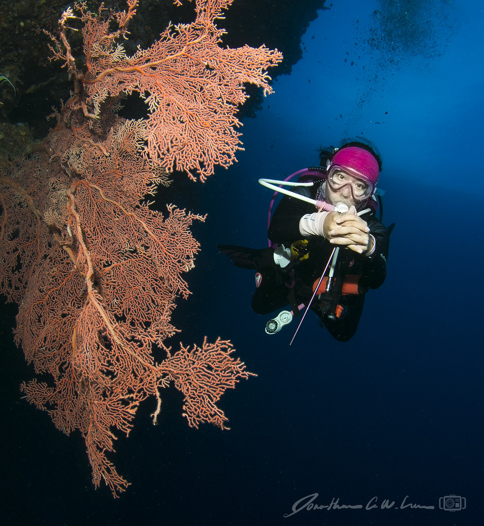 Underwater o ki o ki Flickr