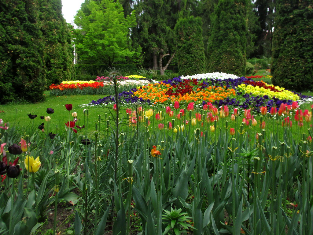 ClujNapoca Botanical Garden Cluj / Kolozsvár / Klausenbur… Flickr