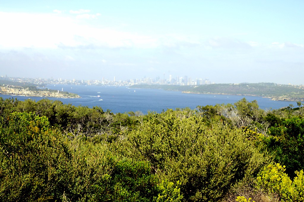 Sydneyshores Sydney Shores 2017 Frank B Flickr