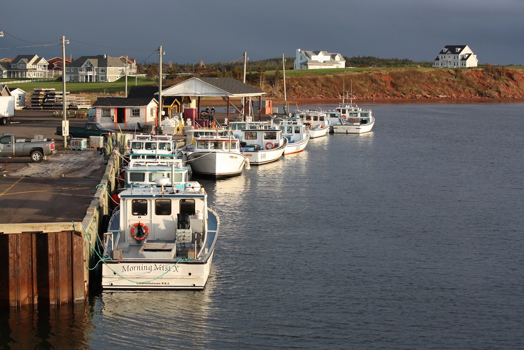 Covehead, PEI Evening view of the harbour at Covehead, Pri… Flickr
