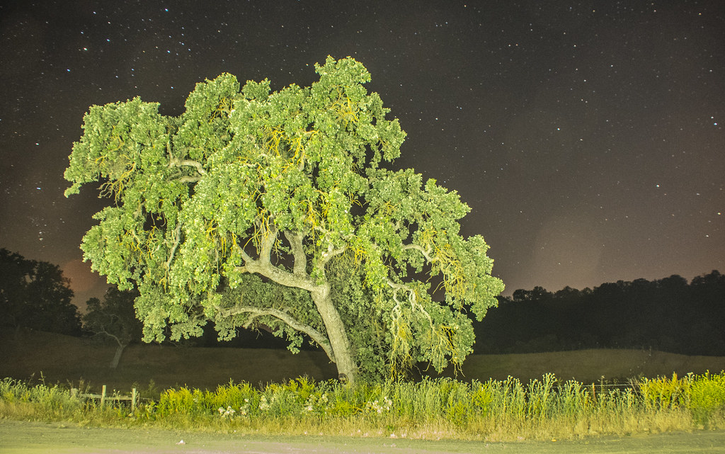 Starshots 4 in Santa Margarita Area (1 of 1) Bob Canepa an… Flickr