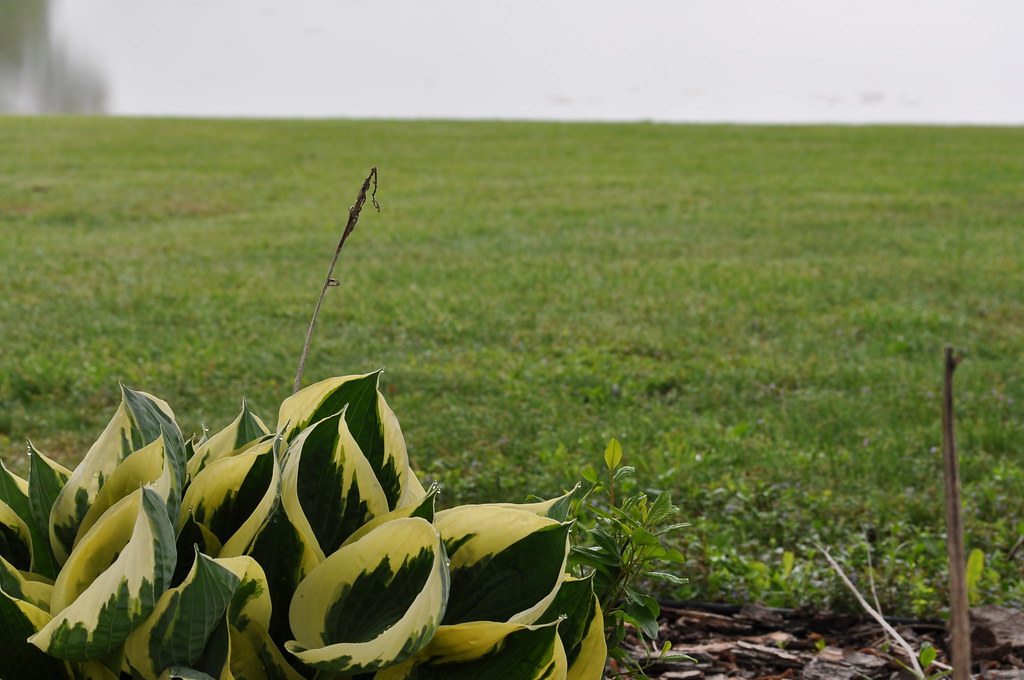 CatLakeMI (7) Cat Lake, MI Jeremy Flickr