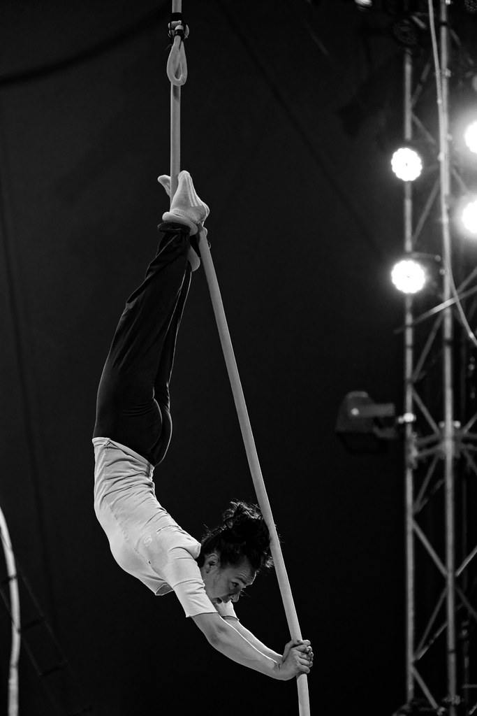 Aurelia Wallenda The Flying Wallendas Circus Flora … Flickr