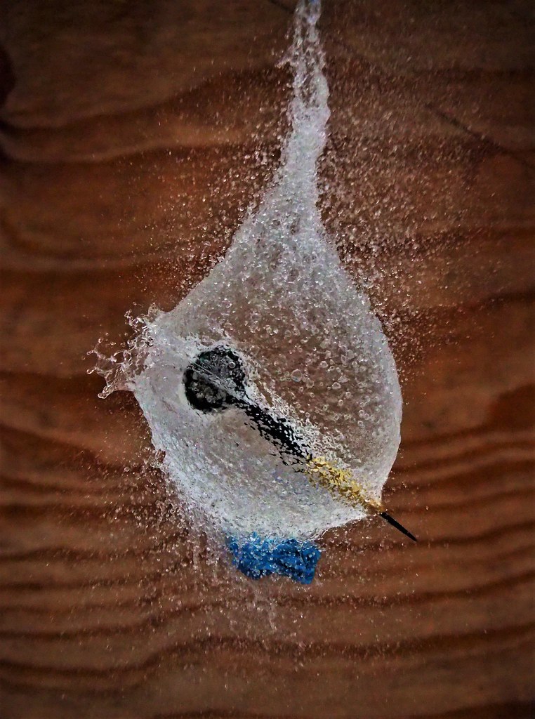 POP! A fun time throwing darts at water filled balloons at… Flickr