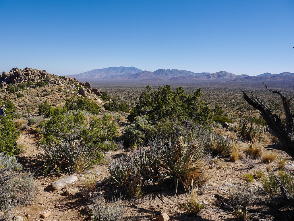Mojave National Preserve Flickr